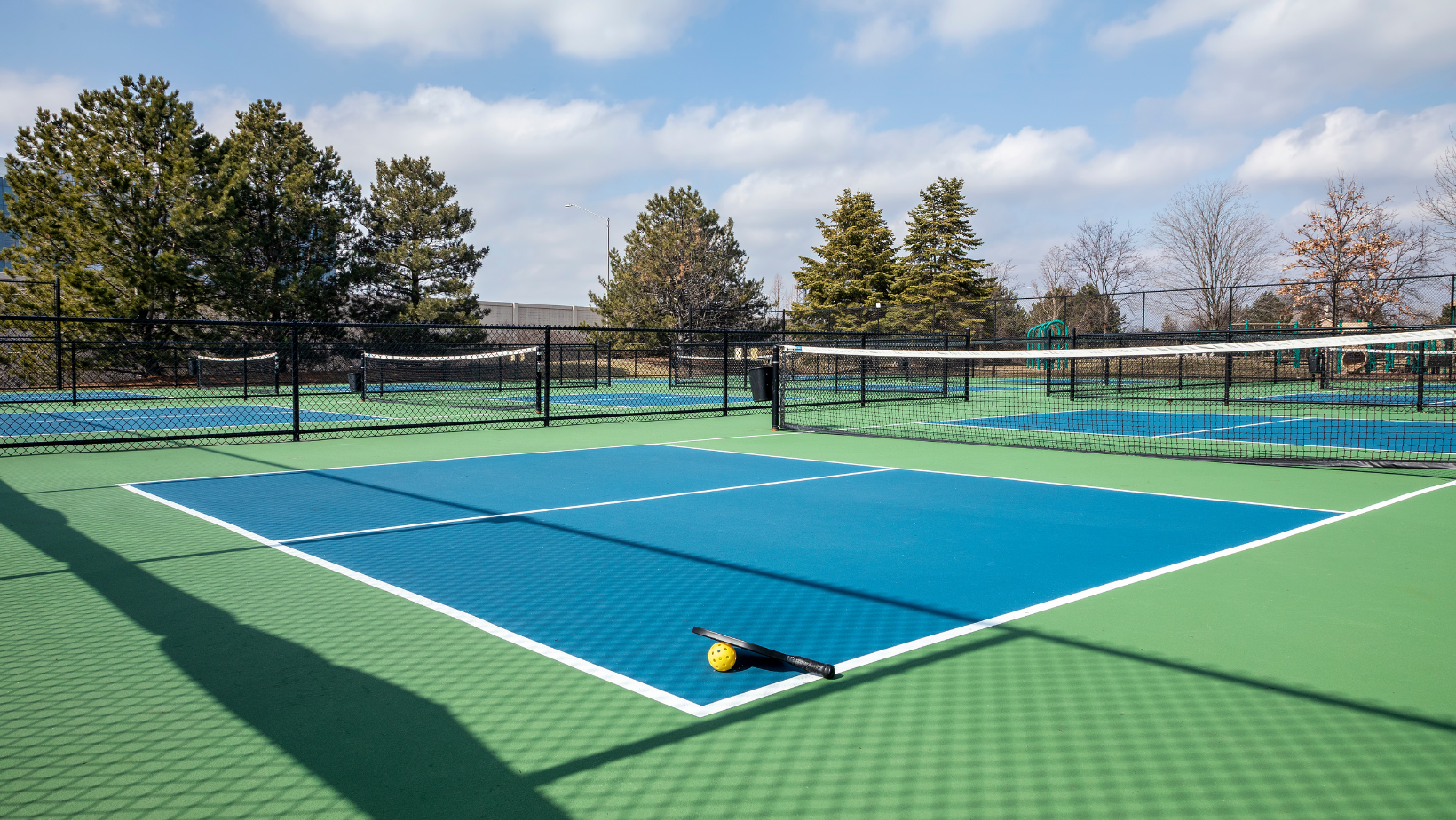 1 PICKLE BALL Court maintenance